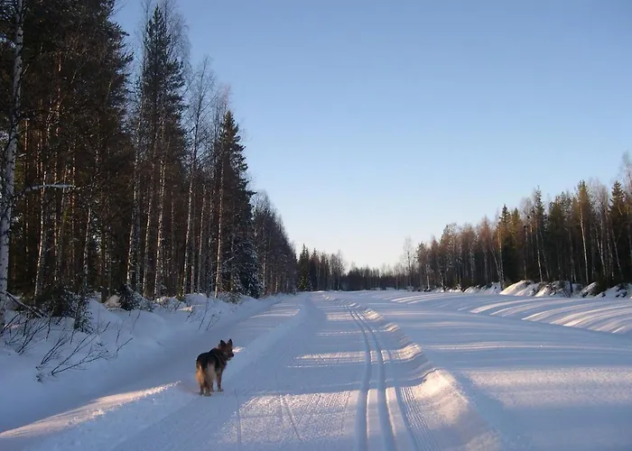 Savutaival Loma-asunnot *