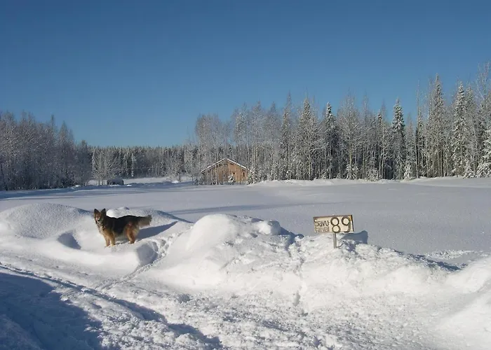 Tatil Evi Savutaival *