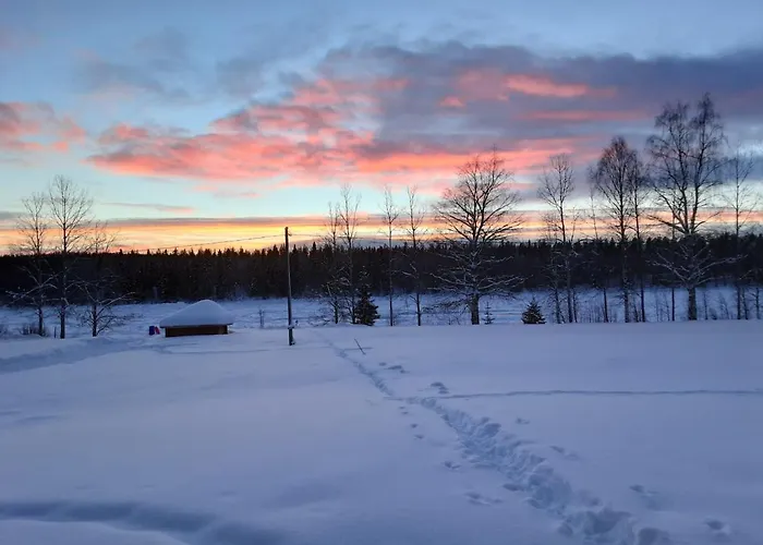 Tatil Evi Savutaival Pello