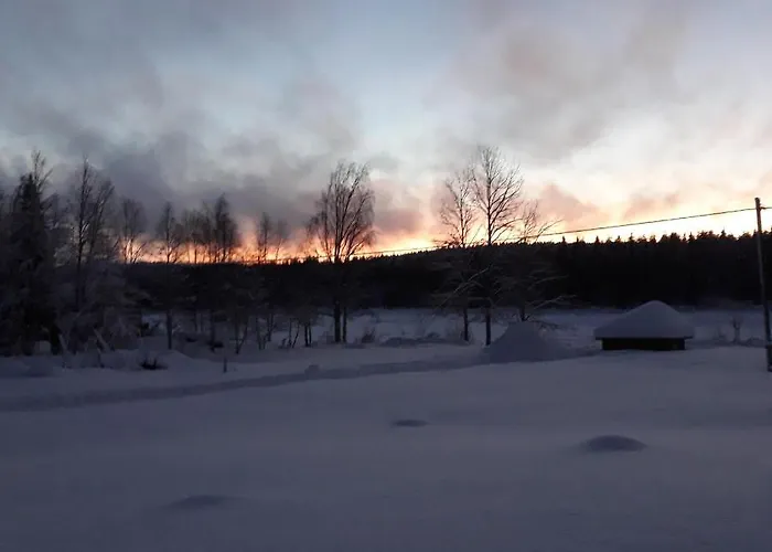 Tatil Evi Savutaival